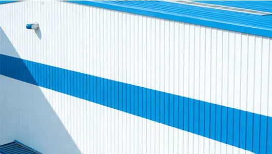 Color Steel Roll-Formed Panels