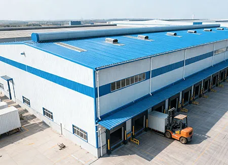 Color Steel Roll-Formed Panels