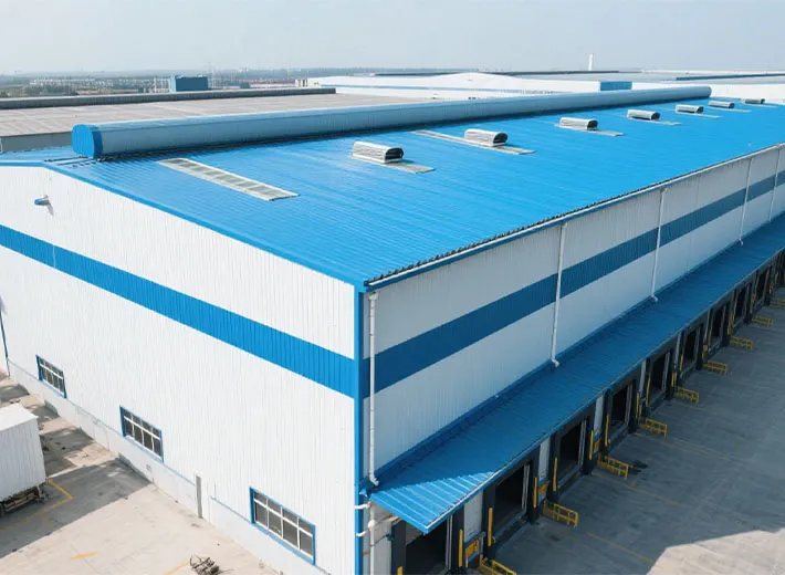 Color Steel Roll-Formed Panels